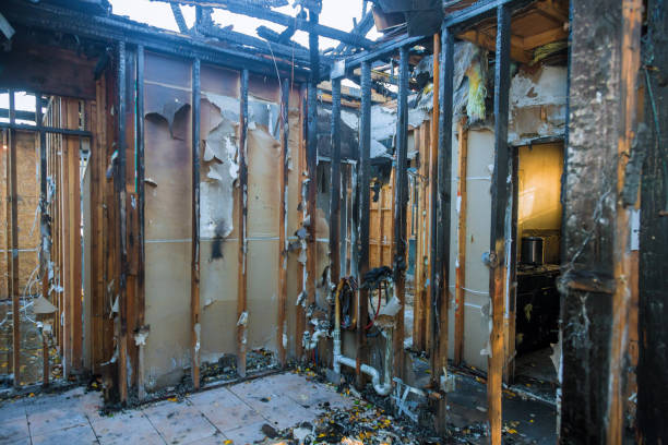 Professional Odor Removal technician working in Woodburn, IN